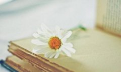 ̲ĳЩ